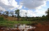 Ethiopia - Mago National Park - 01